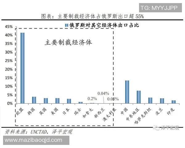 巴西与德国对决裁判组分析及其对比赛结果的影响探讨